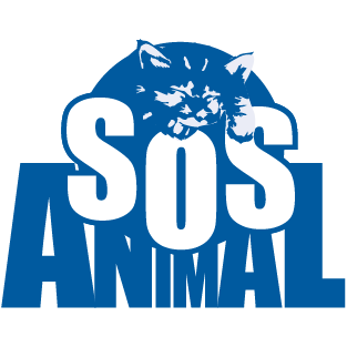 Hospital Veterinario Málaga SOS Animal