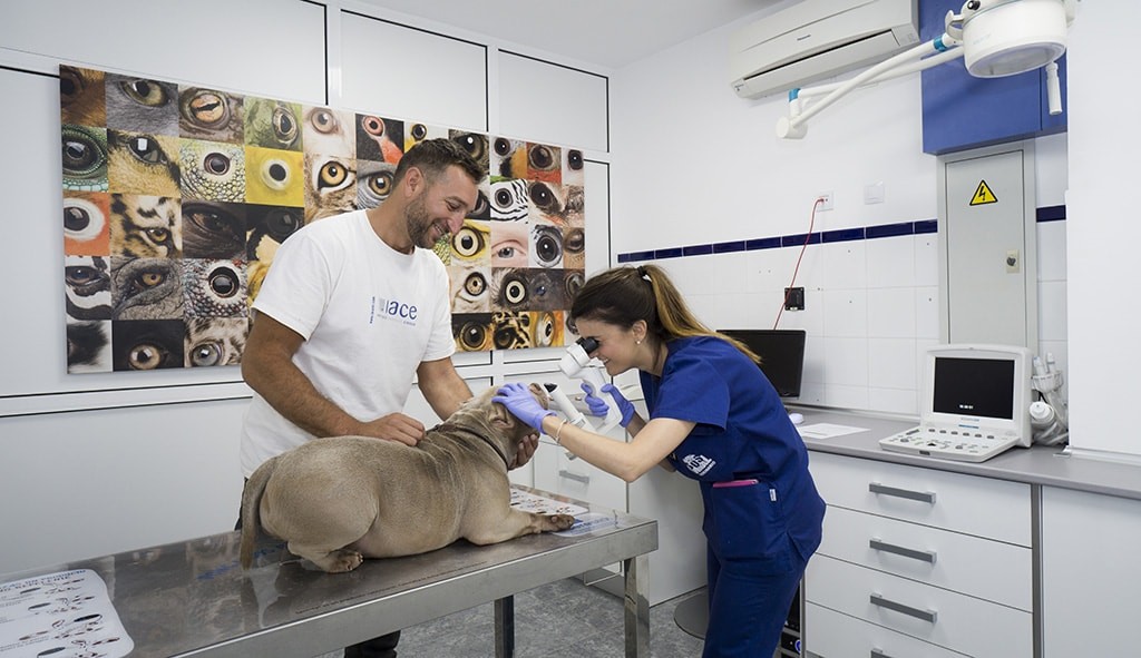 Hospital Veterinario SOS Animal