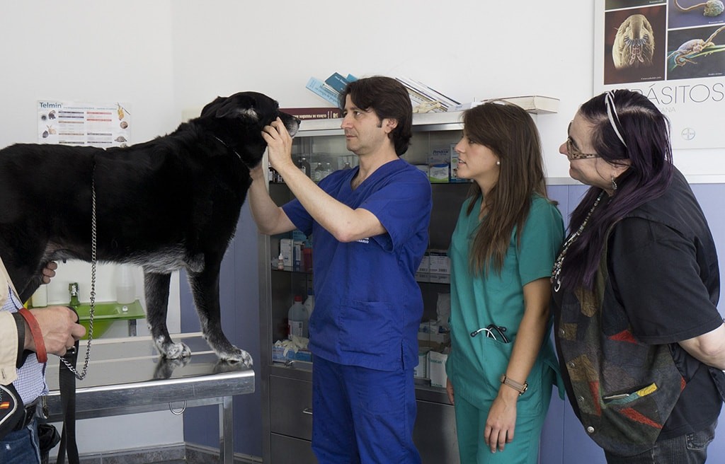 Hospital Veterinario SOS Animal