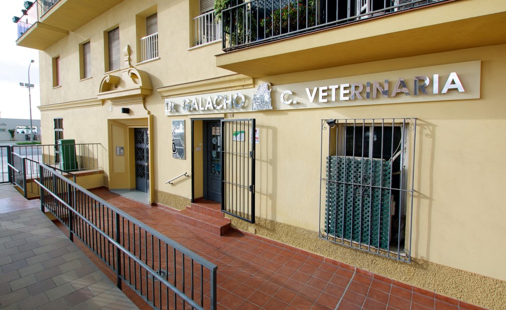 Letrero Clínica veterinaria Dr. Galacho