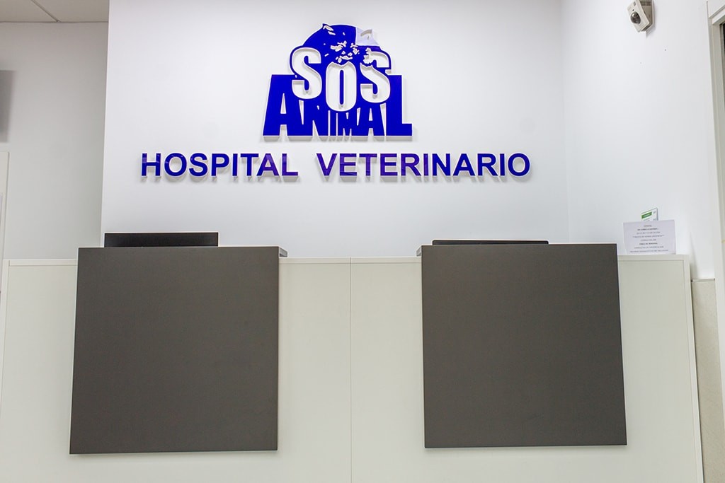 Hospital Veterinario Málaga SOS Animal