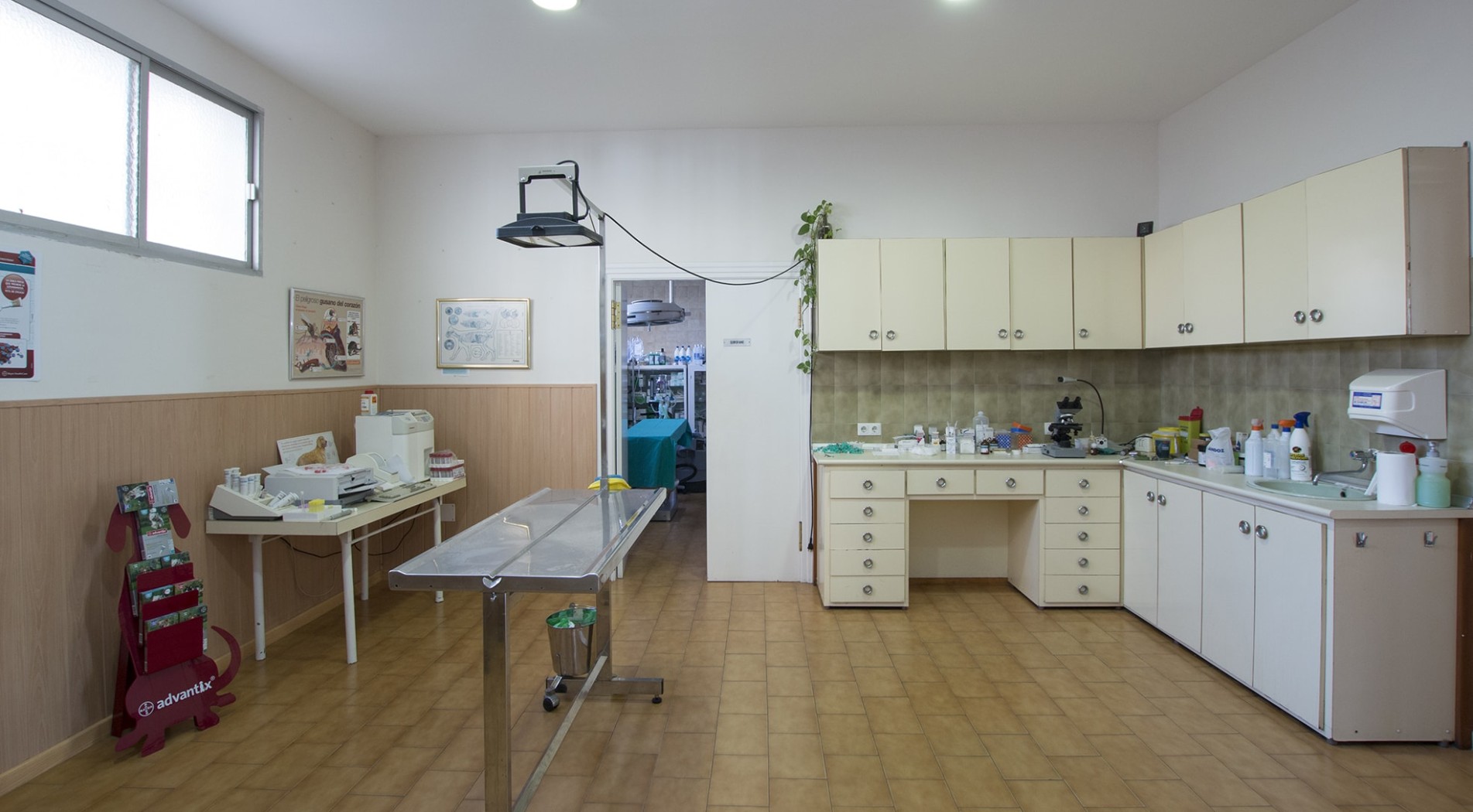 Clínica Veterinaria Torre del Mar