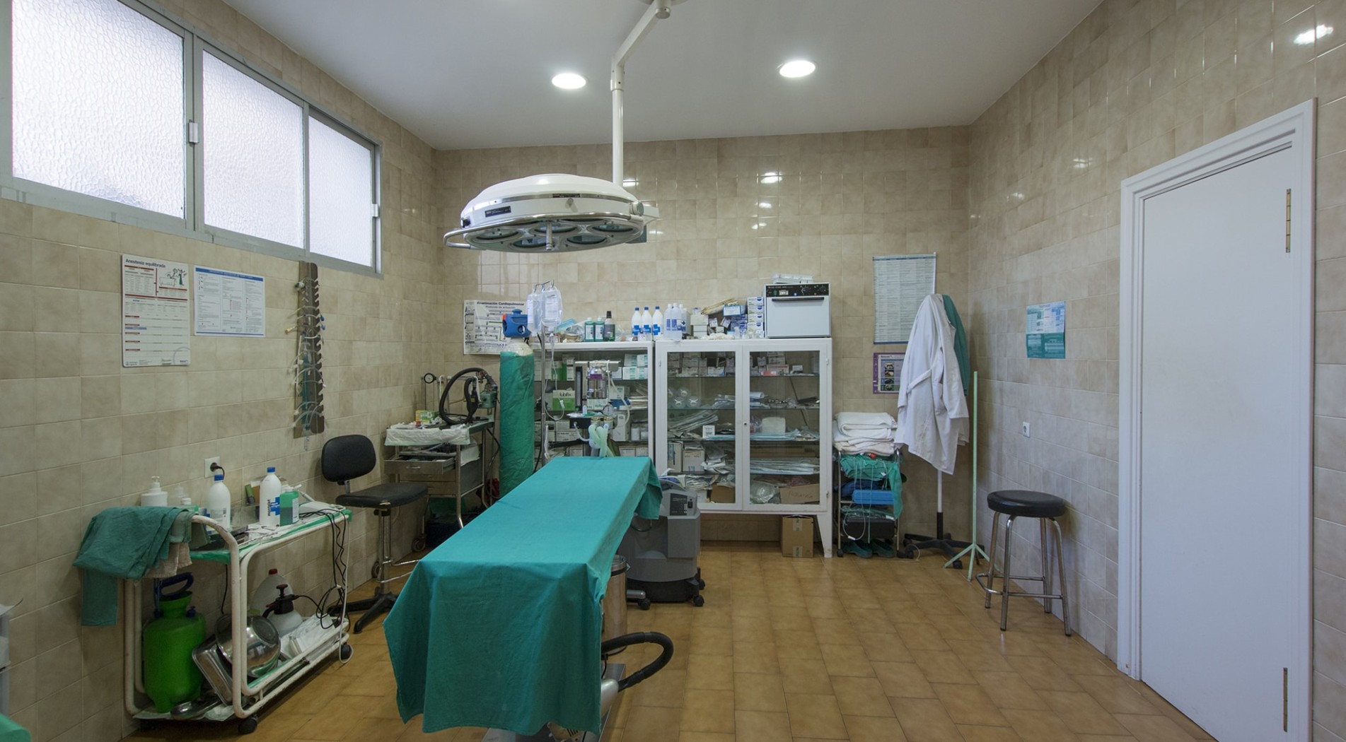 Clínica Veterinaria Torre del Mar