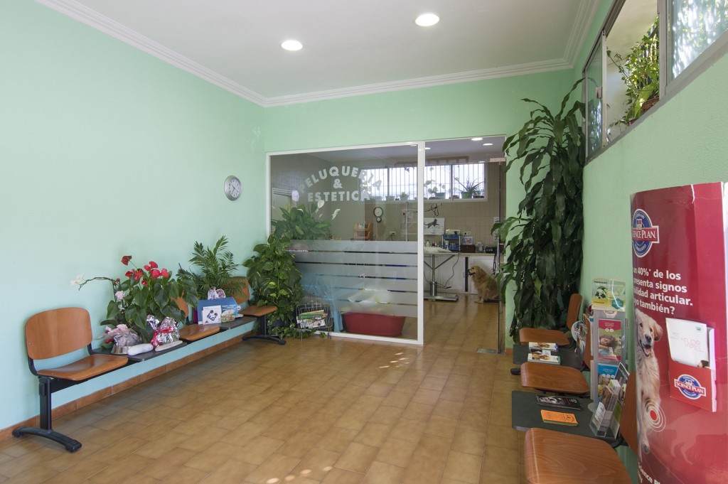 Clínica Veterinaria Torre del Mar