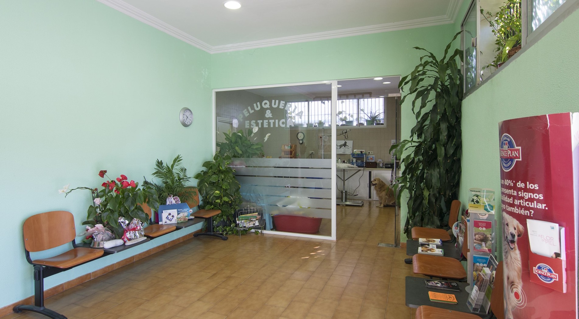 Clínica Veterinaria Torre del Mar