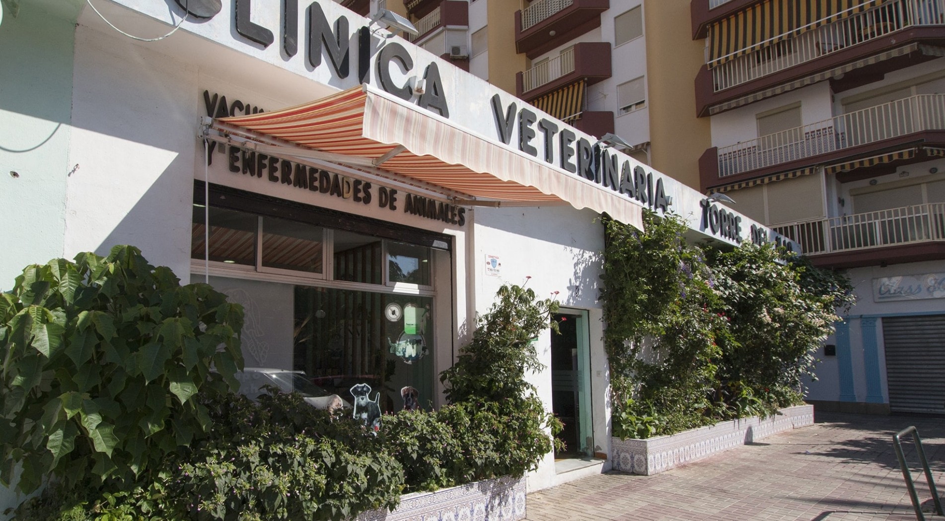 Clínica Veterinaria Torre del Mar