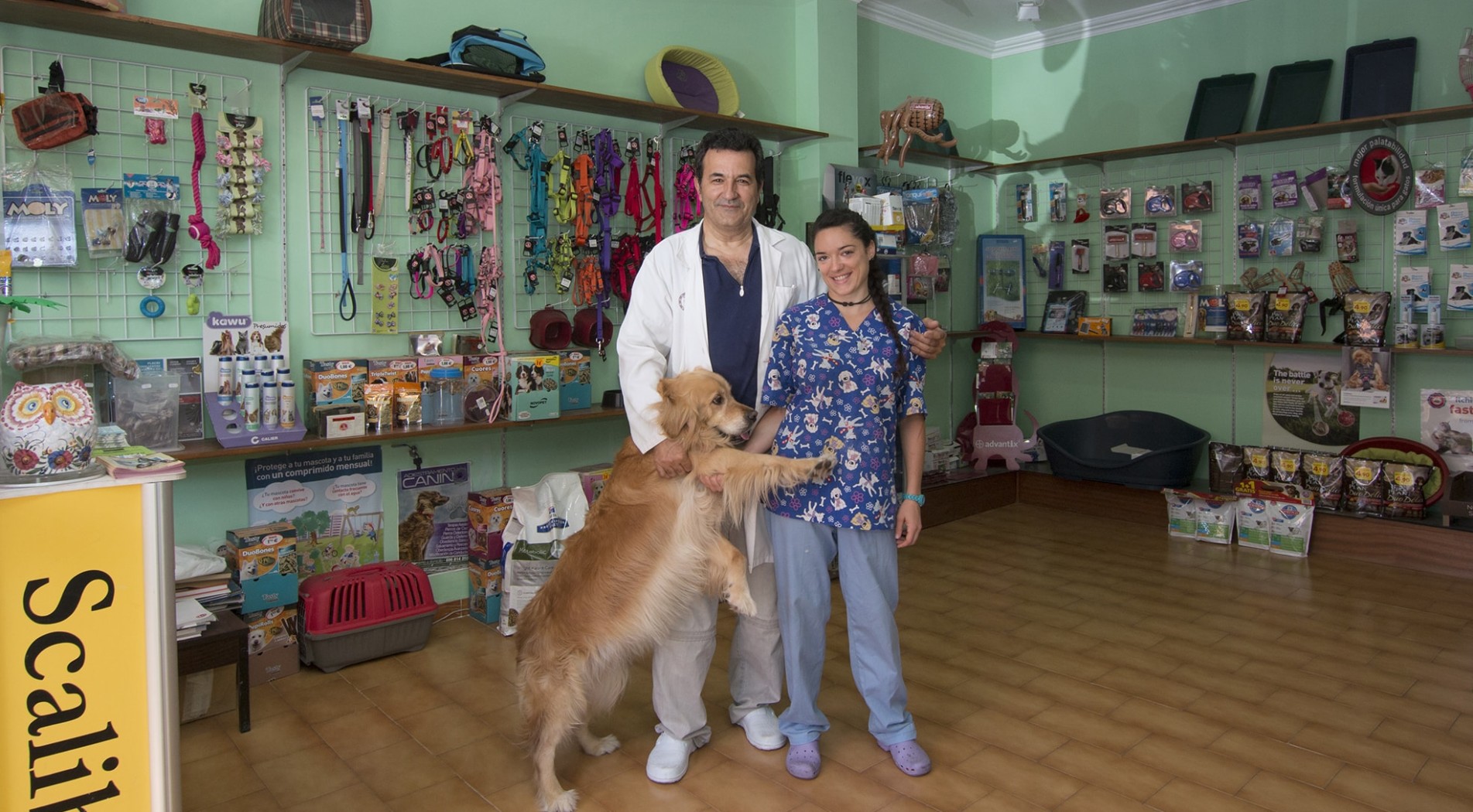 Clínica Veterinaria Torre del Mar