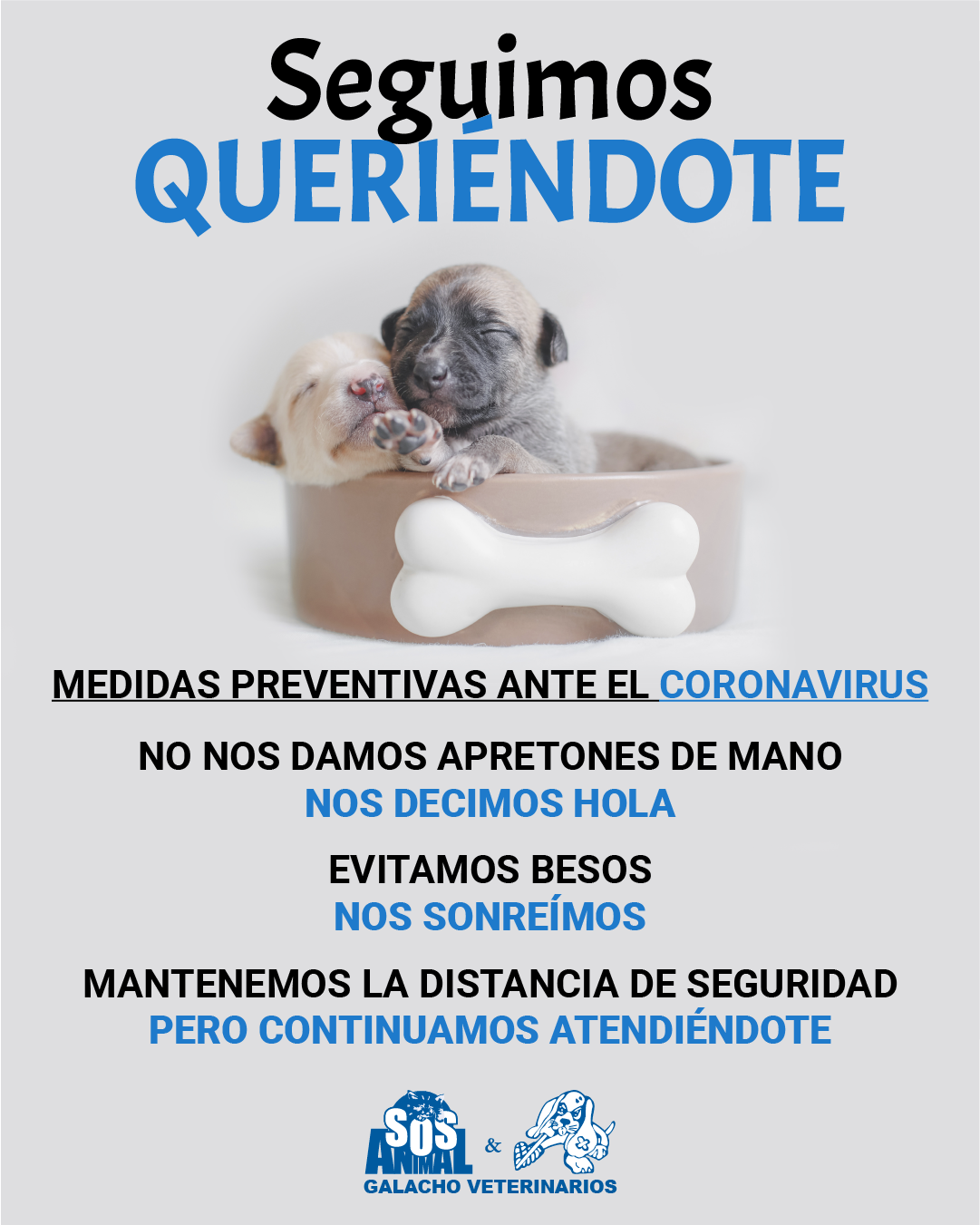 Medidas preventivas ante el coronavirus en centros veterinarios